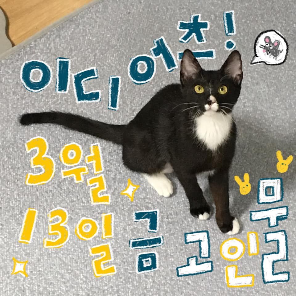 GROOVE PARTY의 1번째 포스터