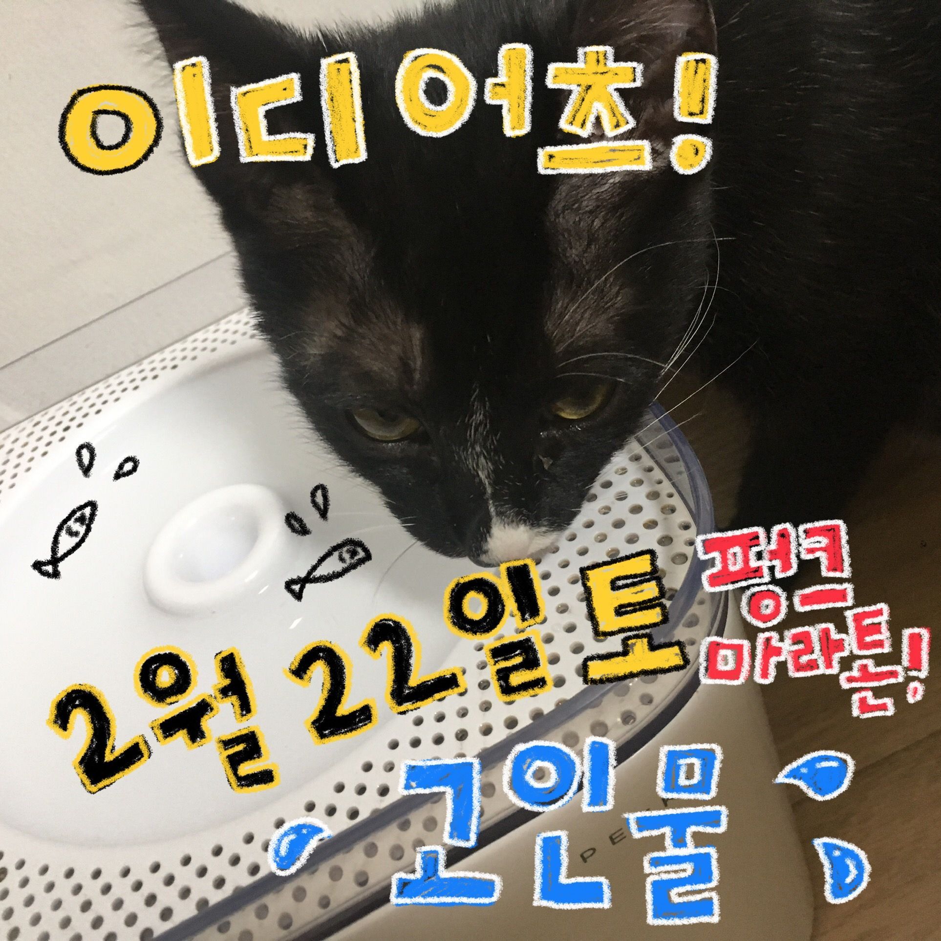 2020 PUNK Marathon의 1번째 포스터