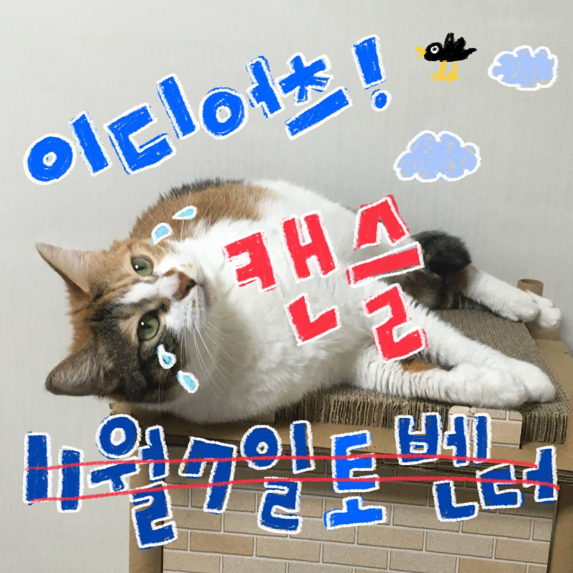 [공연명 미정] 벤더 11월 공연의 1번째 포스터