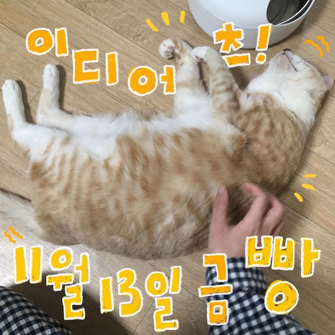 11월 빵 공연의 1번째 포스터