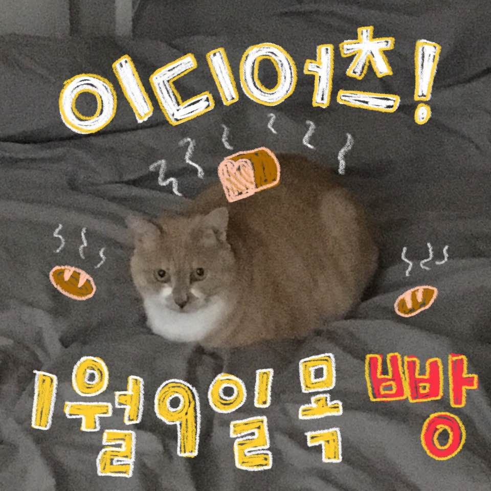 오롯한 라이브와 함께의 2번째 포스터 썸네일