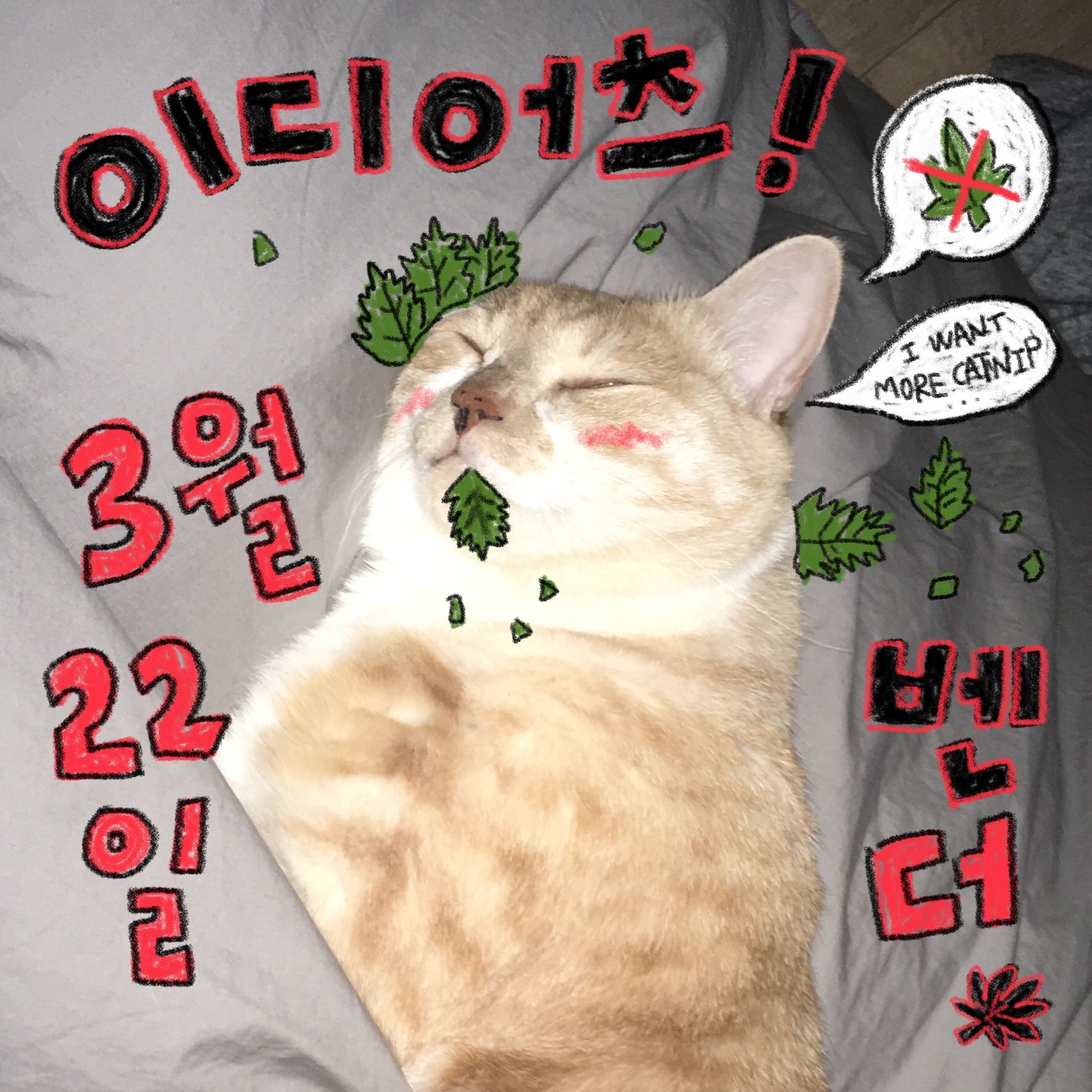 THIS IS NOT DETOUR의 1번째 포스터 썸네일