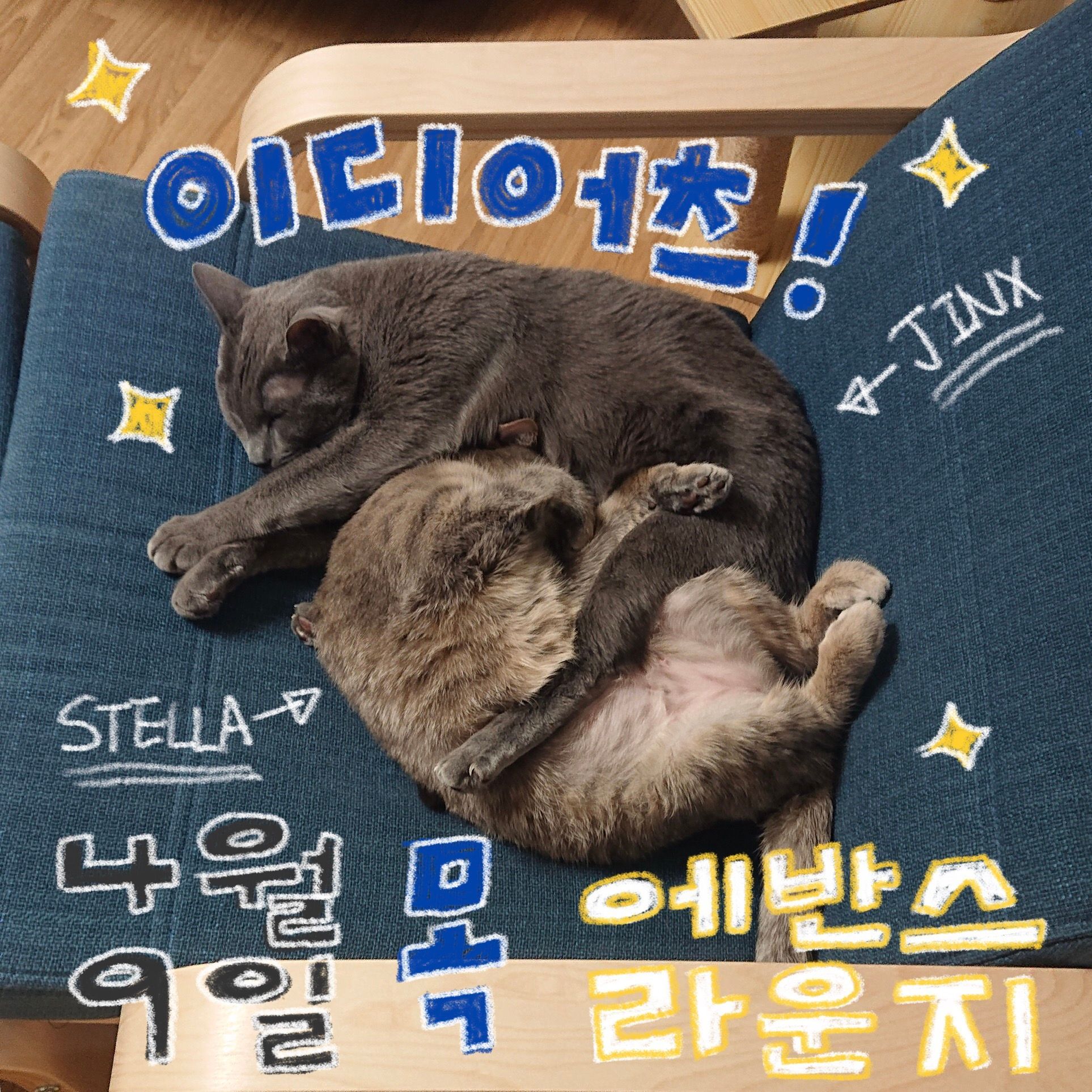 ALIVE ROCK의 2번째 포스터 썸네일