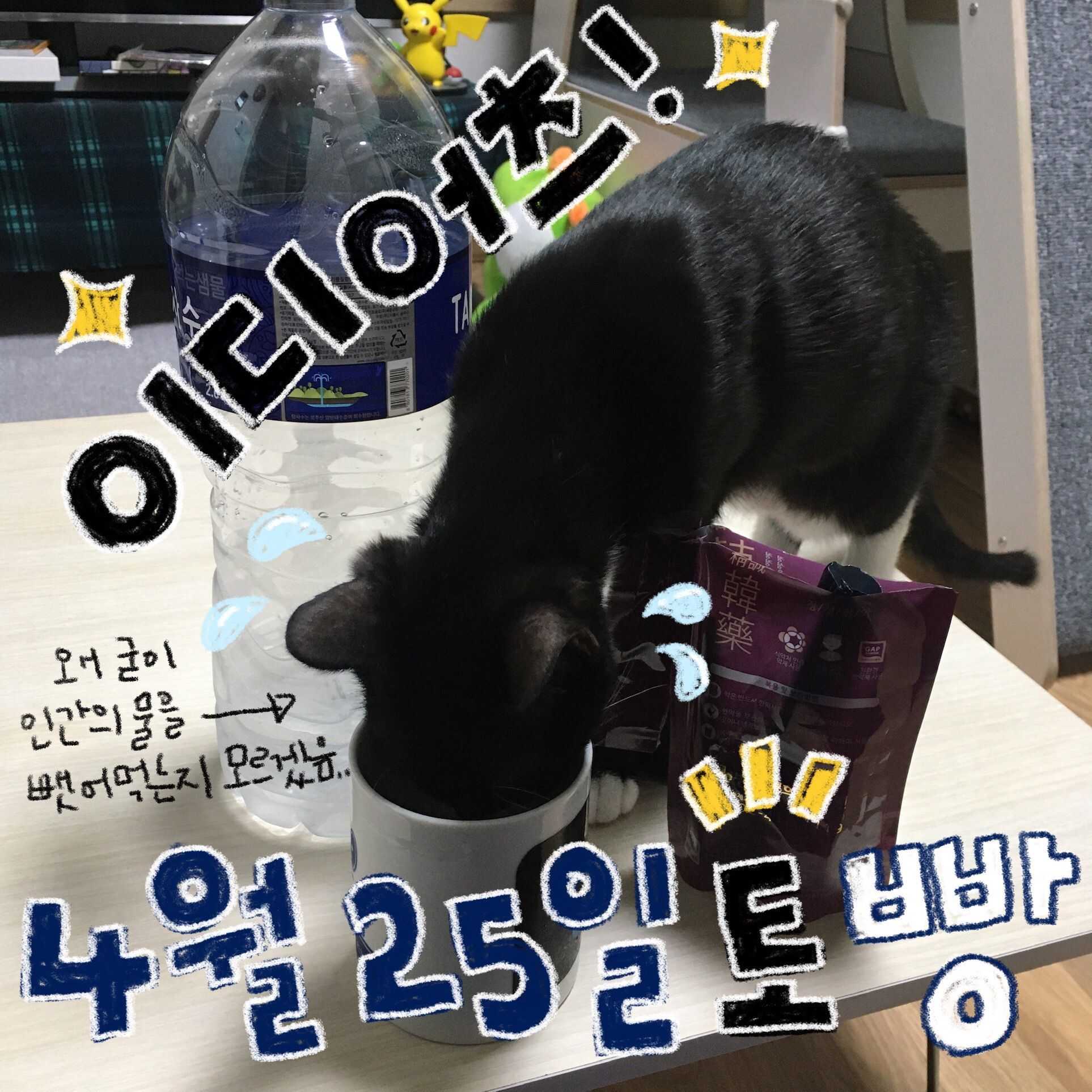 4월 빵 공연의 2번째 포스터 썸네일