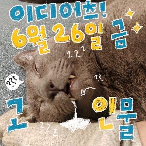 The Reason Why We Can't Stop의 2번째 포스터 썸네일