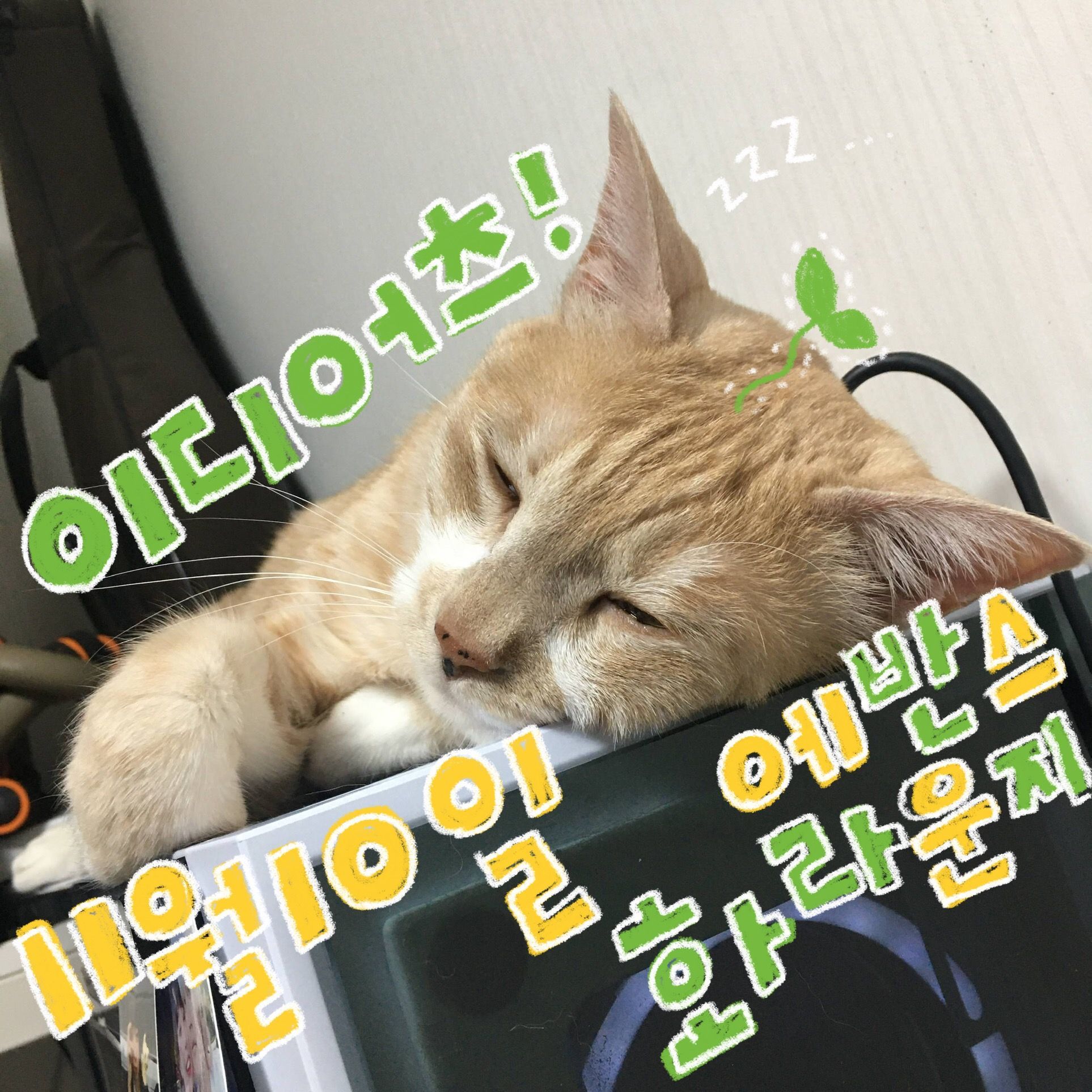 The Lights의 2번째 포스터 썸네일