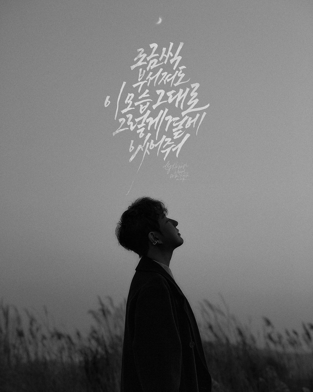 루이드