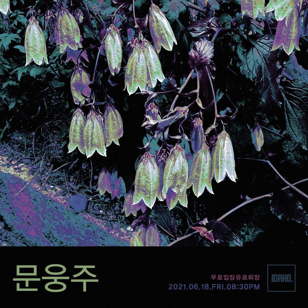 2021년 6월 18일 카페 아이다호 공연 - 문웅주