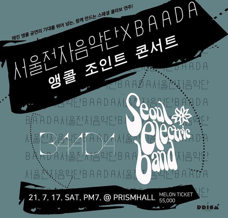 서울전자음악단xBAADA