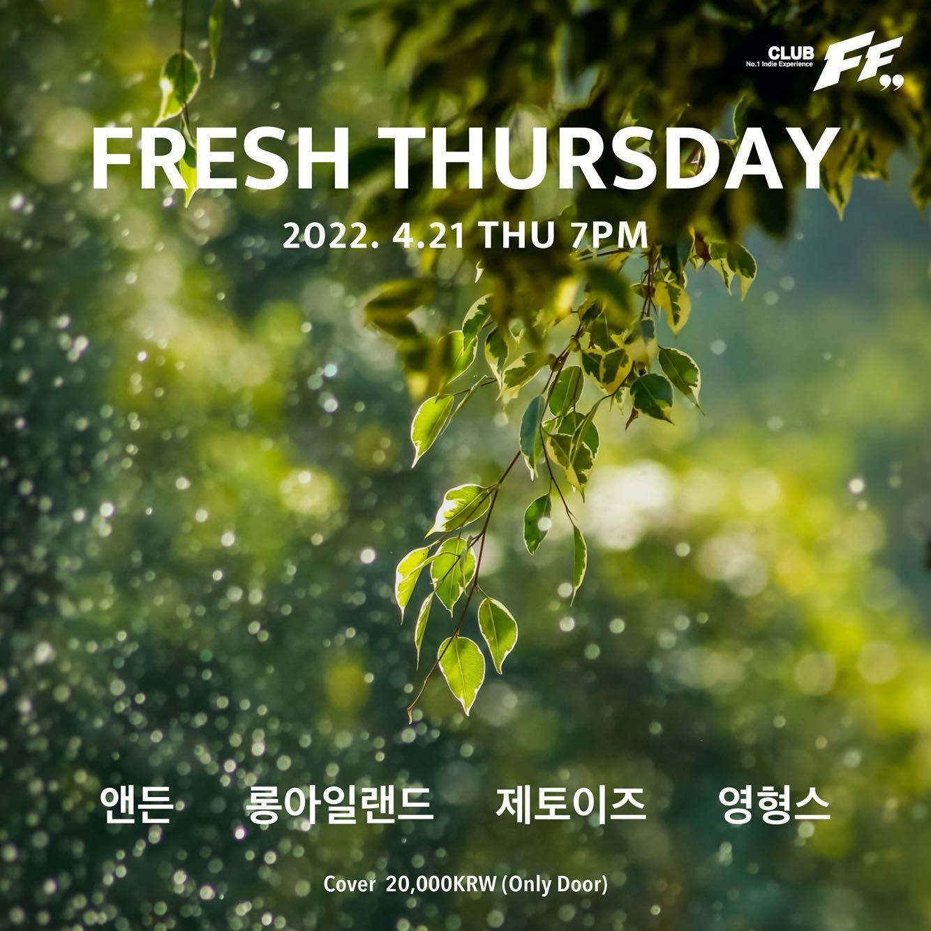 Fresh Thursday 