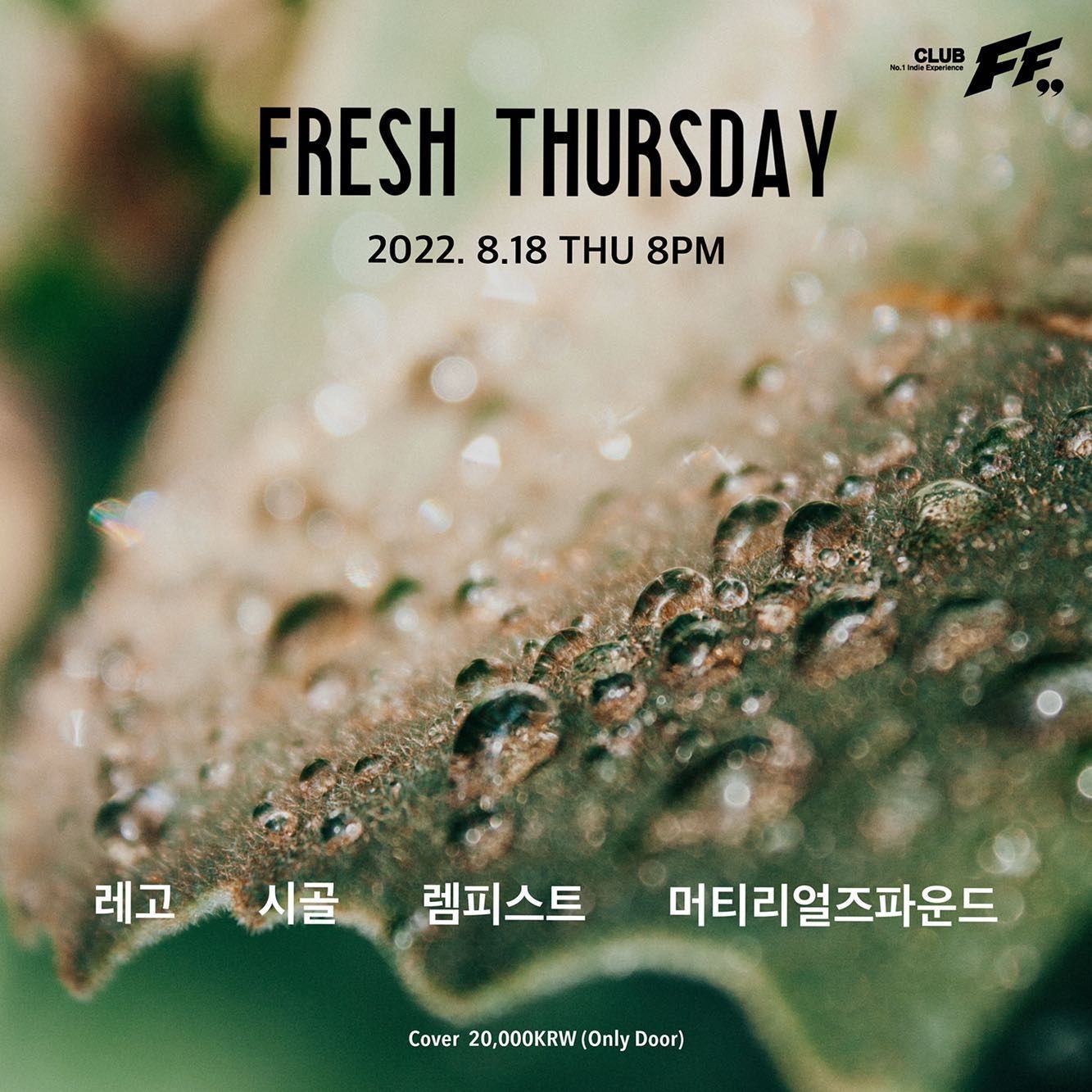 Fresh Thursday