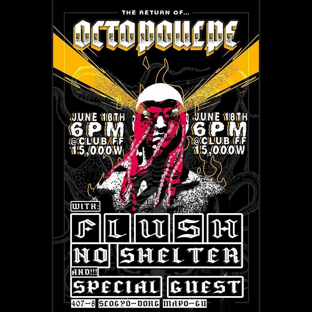 Octopoulpe in korea