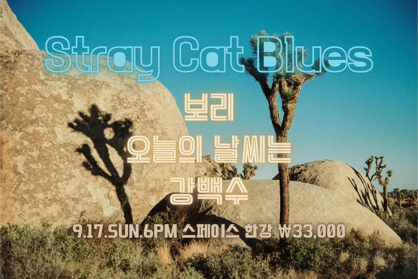 Stray Cat Blues