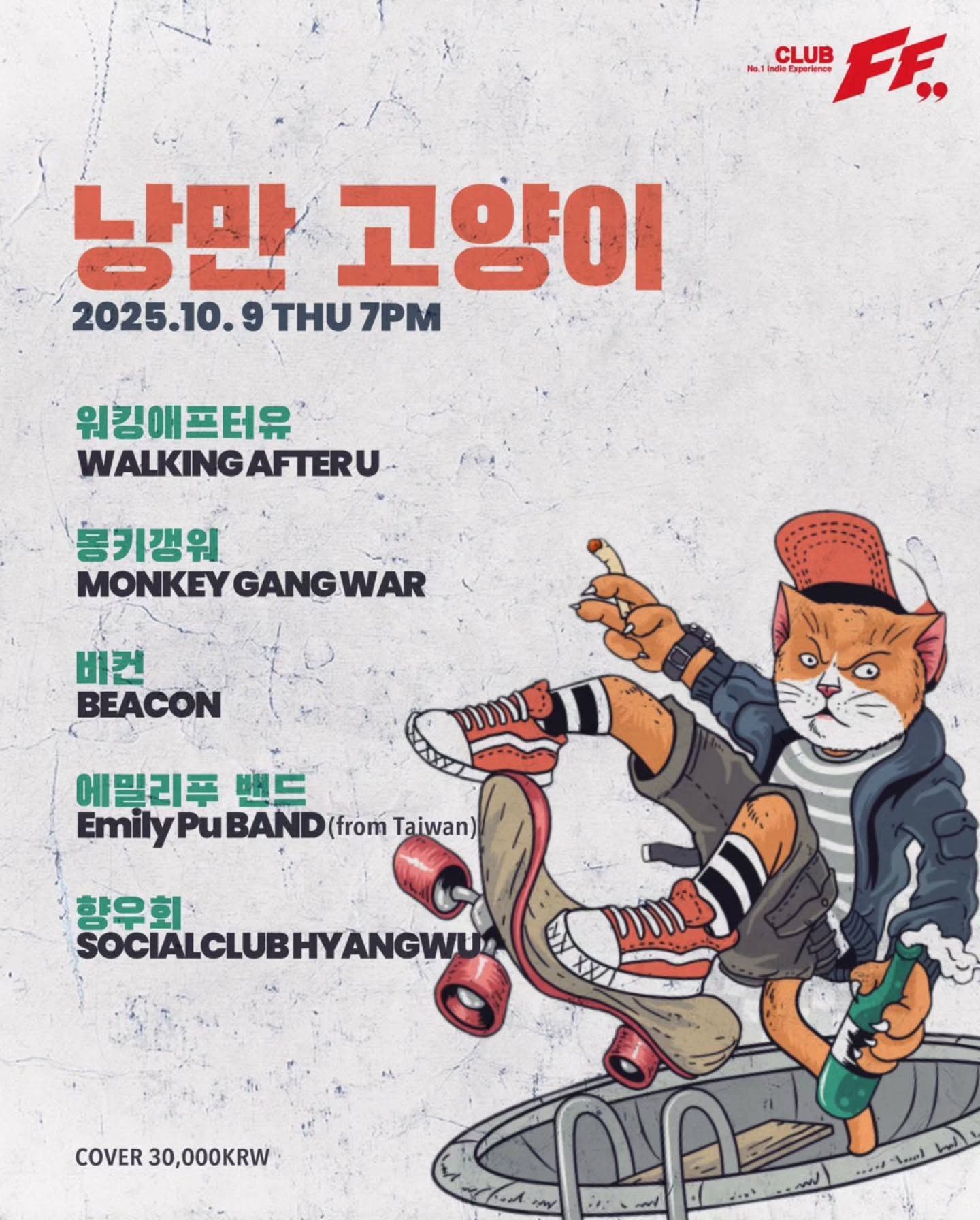 낭만 고양이