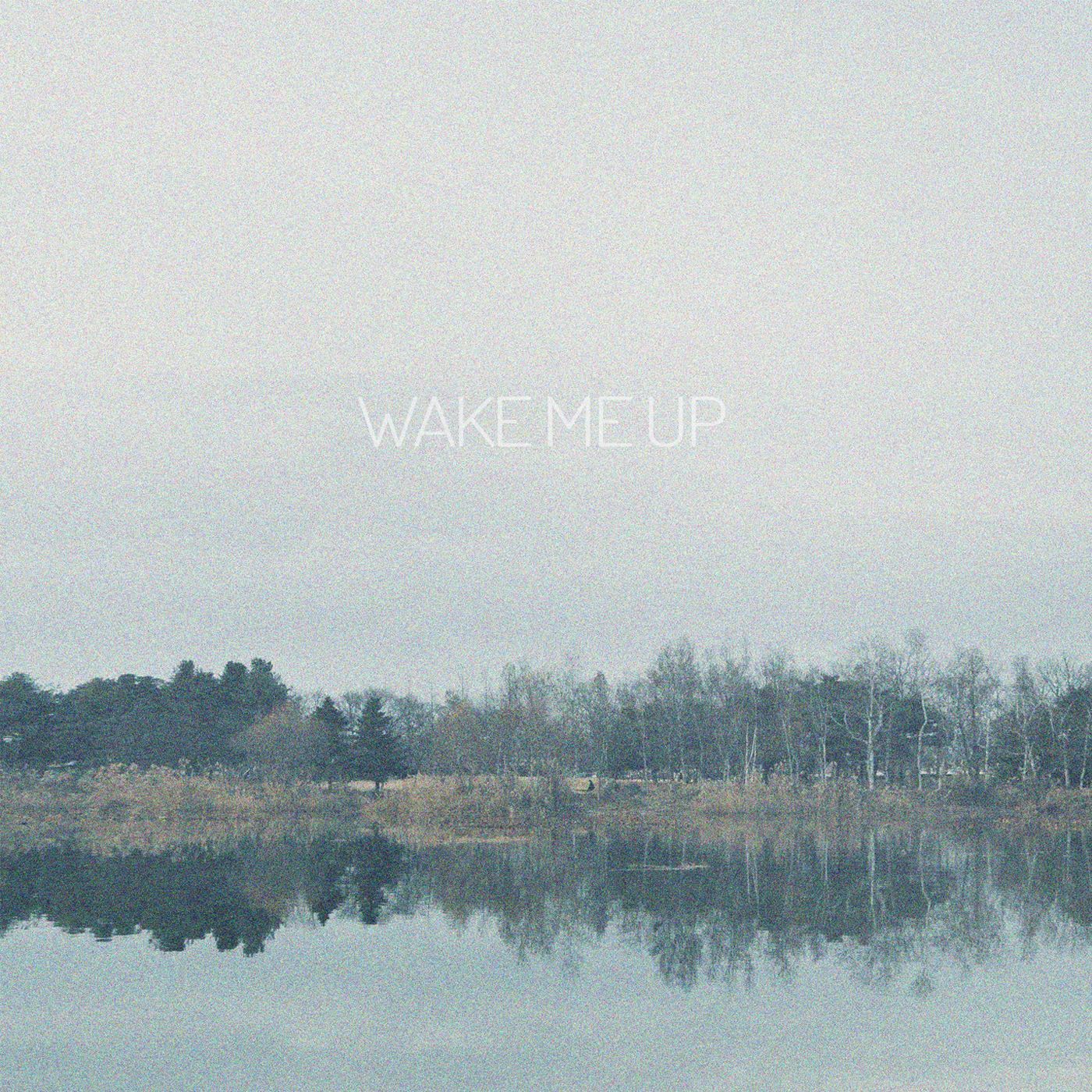 Wake Me Up 앨범 커버