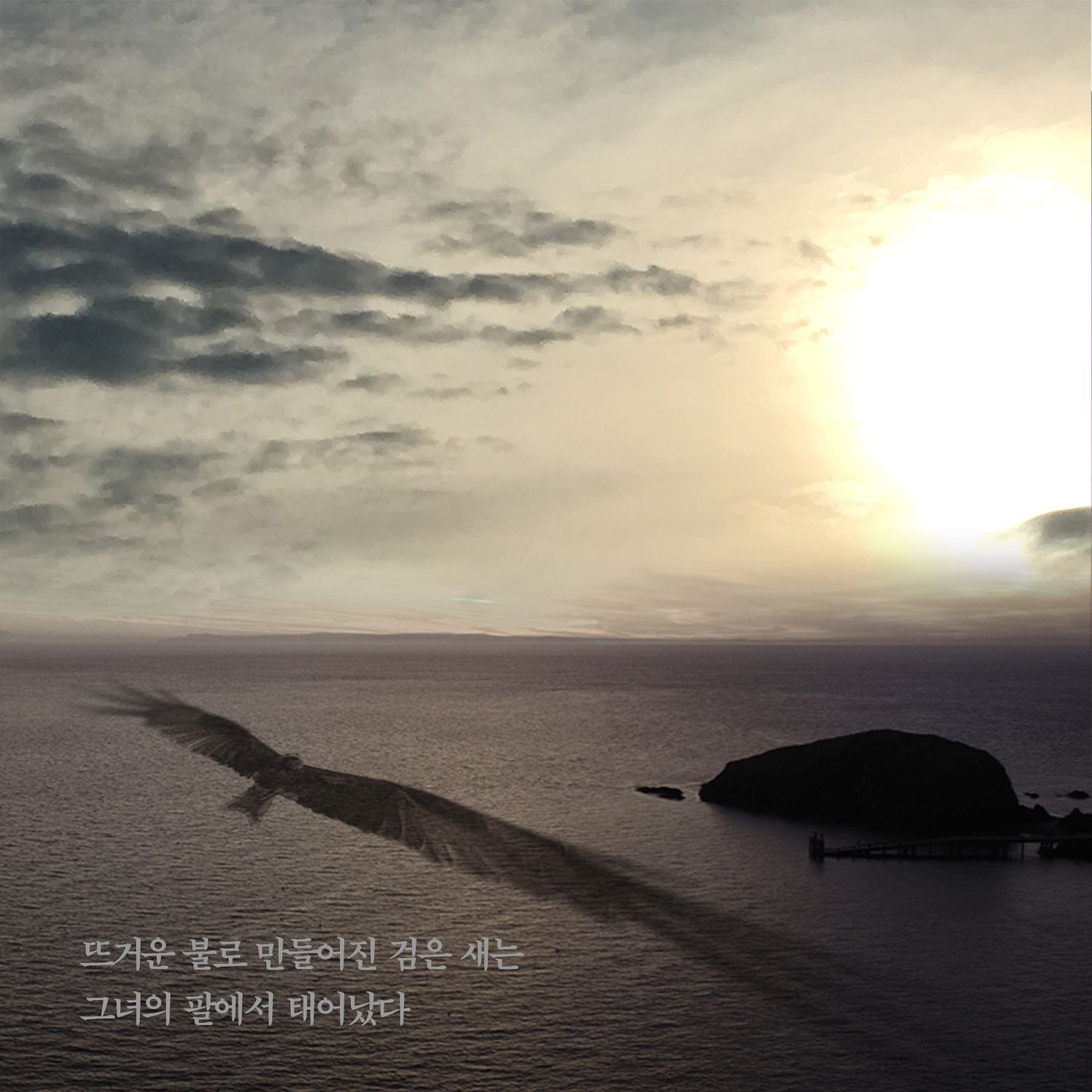 뜨거운 불로 만들어진 검은 새는 그녀의 팔에서 태어났다 앨범 커버