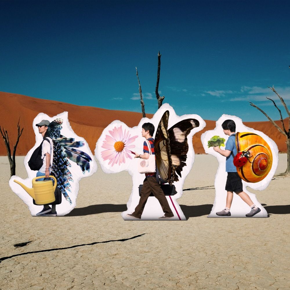 급한노새
