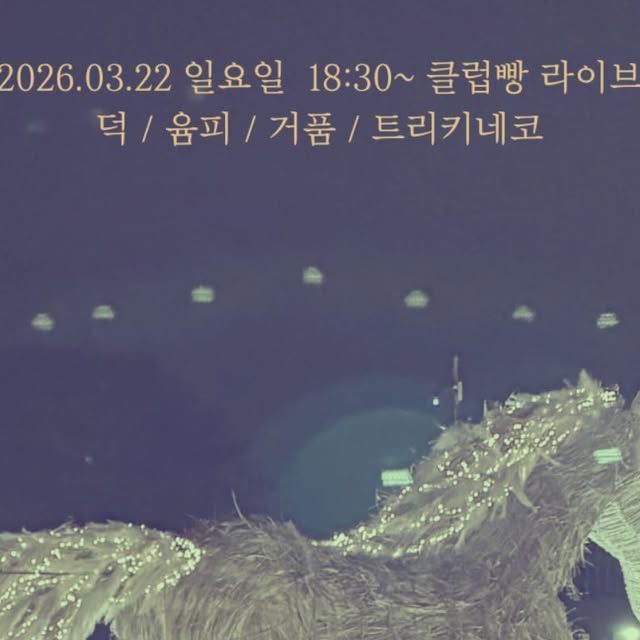 클럽 빵 일요일 공연