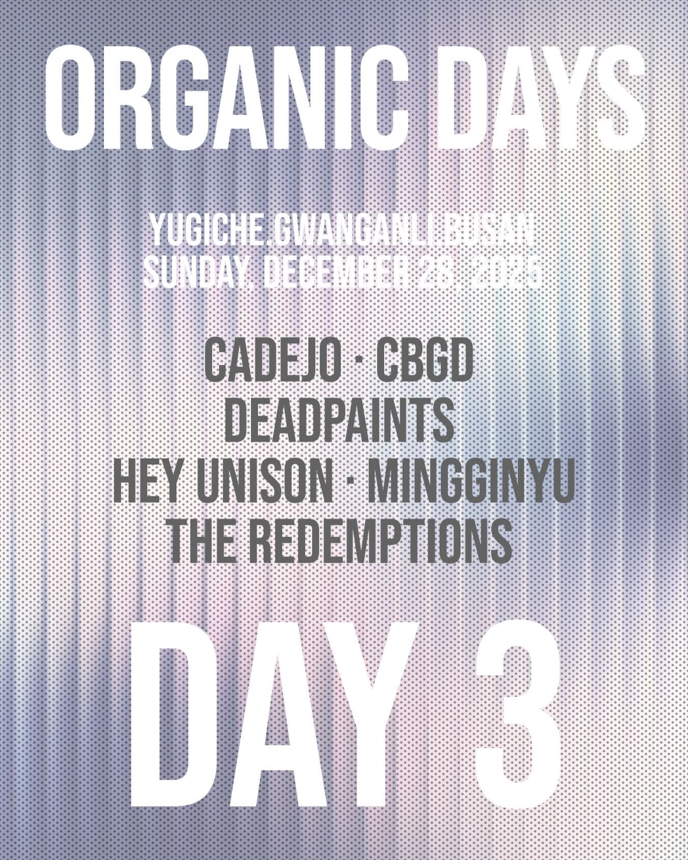 올가닉 데이즈 DAY 3 
