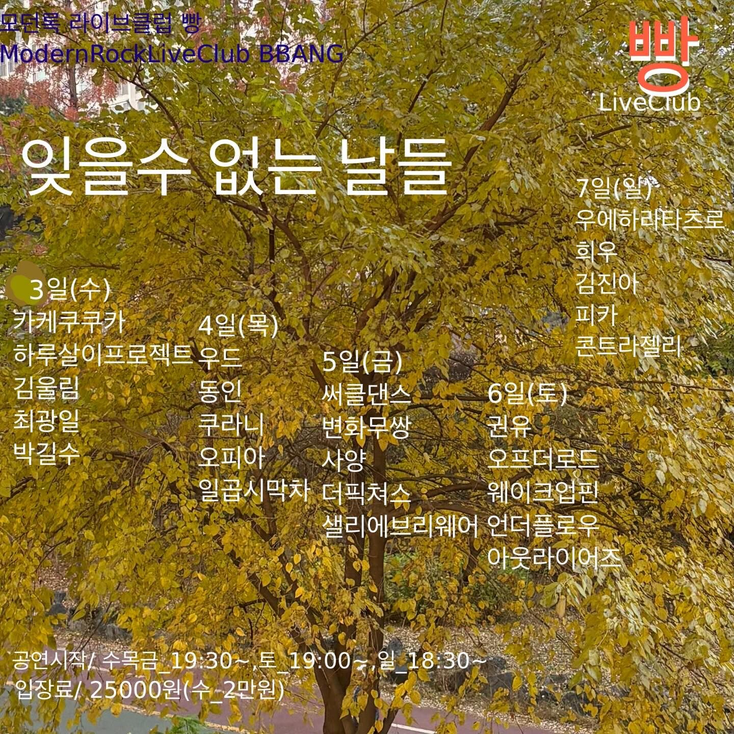 2025년 12월 클럽빵 공연