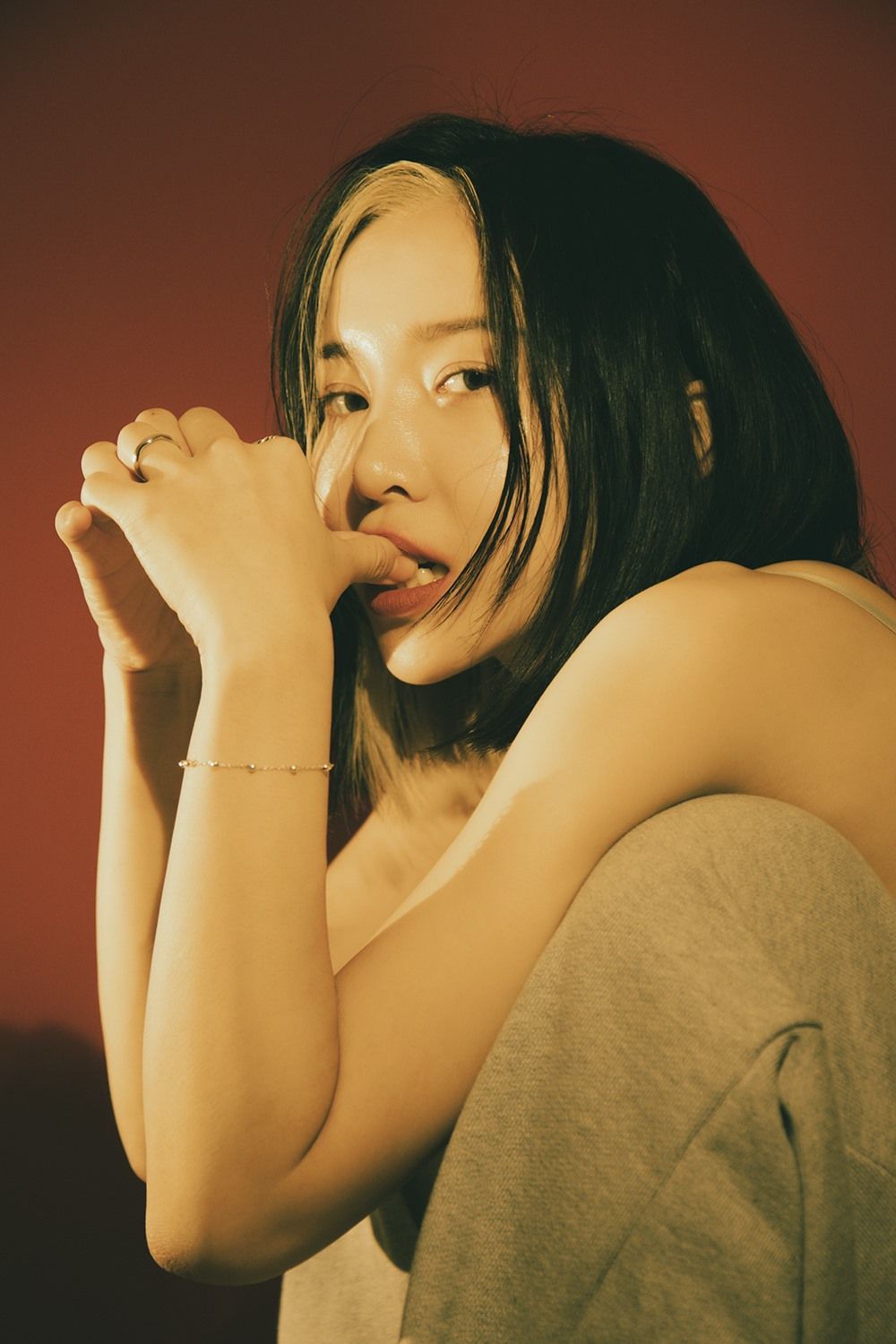 임다이 프로필
