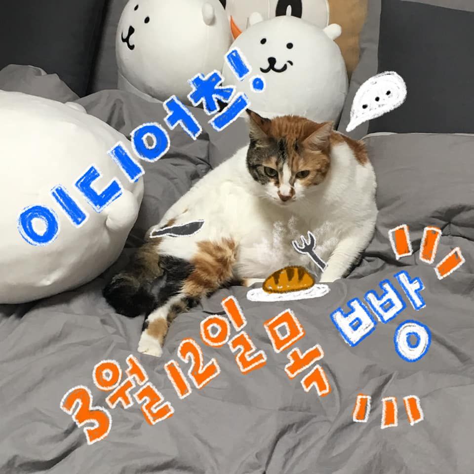  2020.03.12 클럽빵 공연