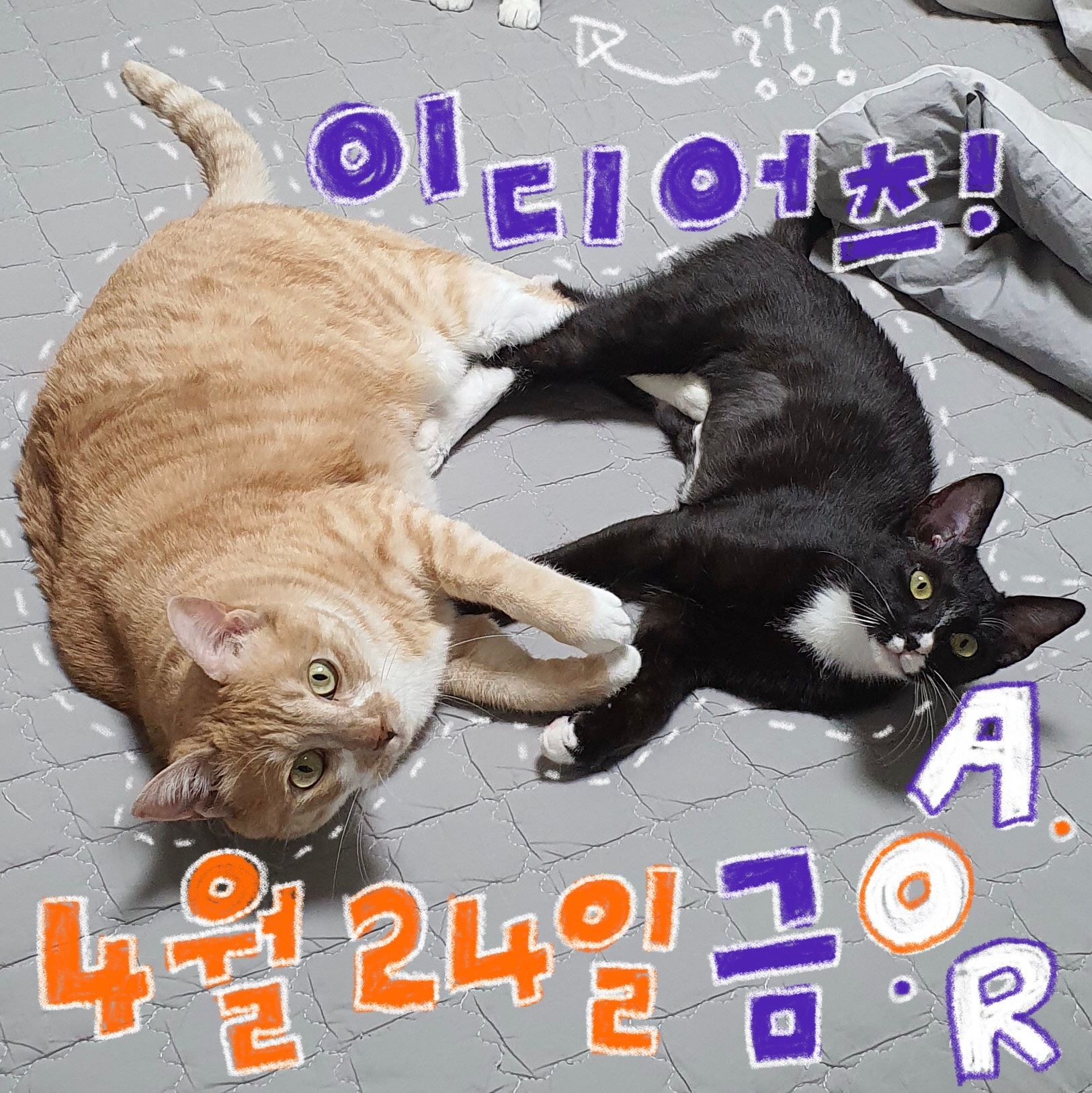 A.O.R CRAZY-FRIDAY poster 2