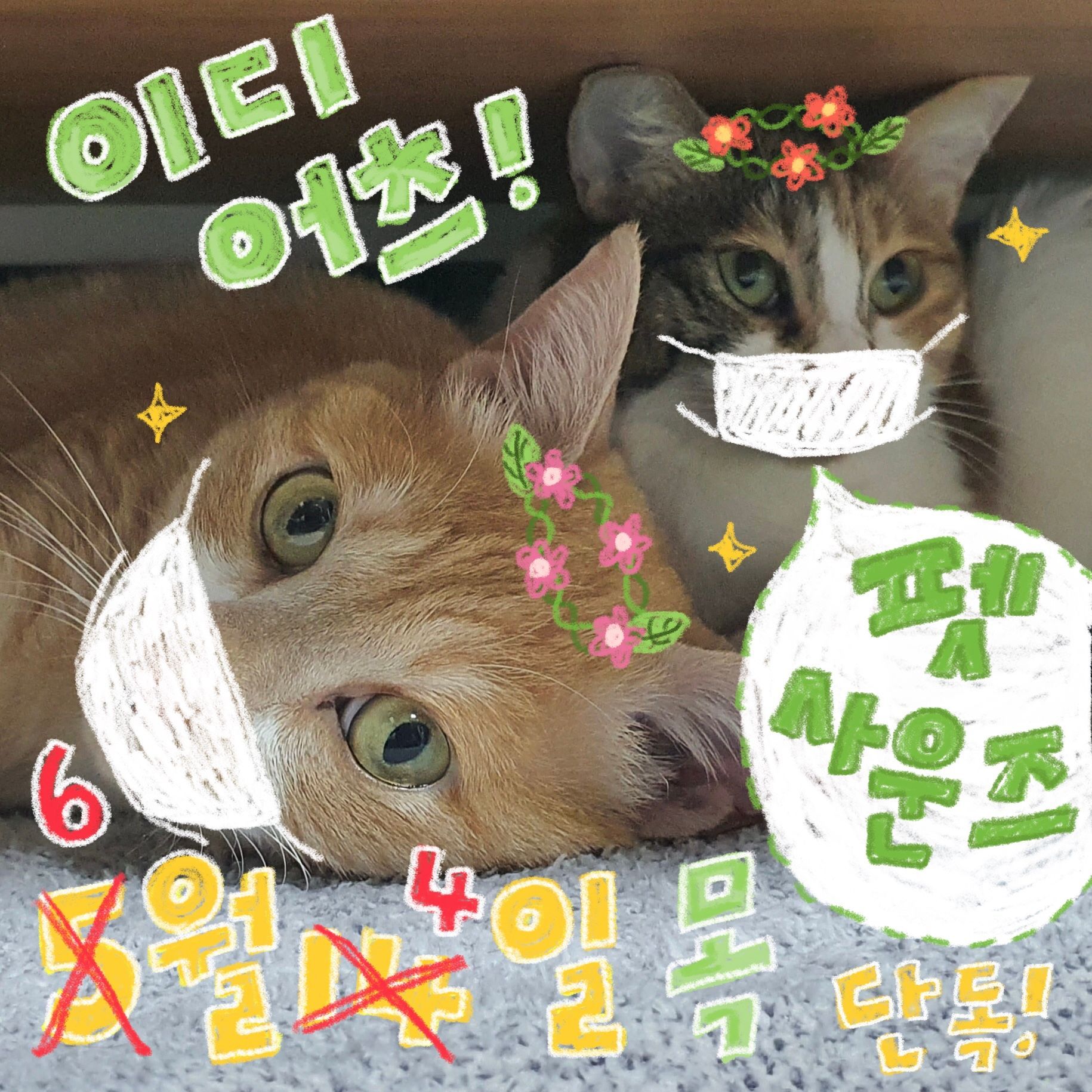펫사운즈 공연