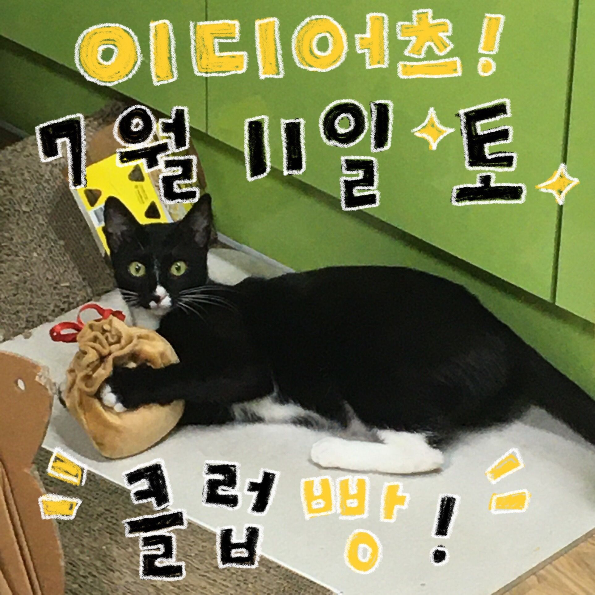 7월 빵 공연