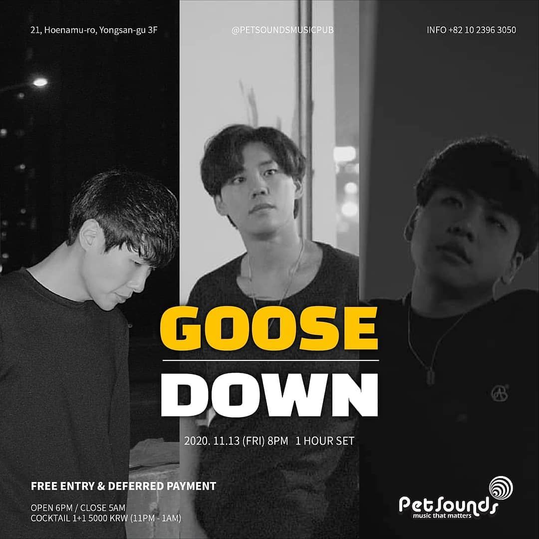 펫사운즈 인디라이브 - 구스다운