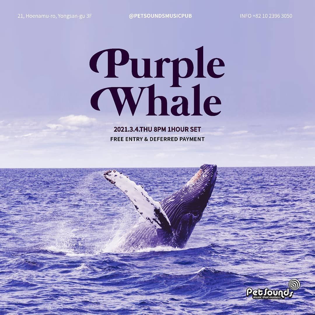 펫사운즈 인디라이브 - 퍼플웨일