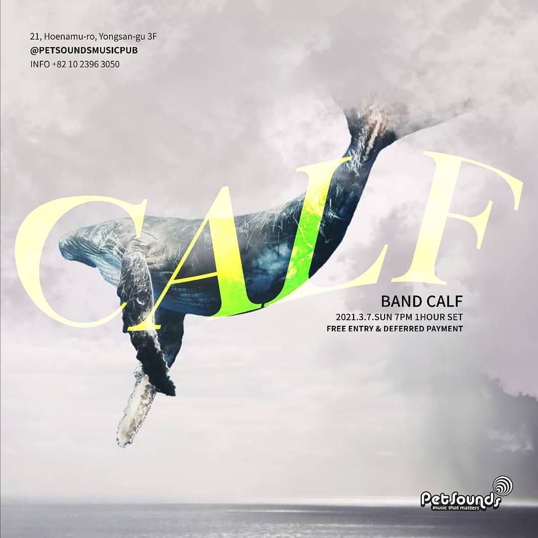 펫사운즈 인디라이브 - 카프