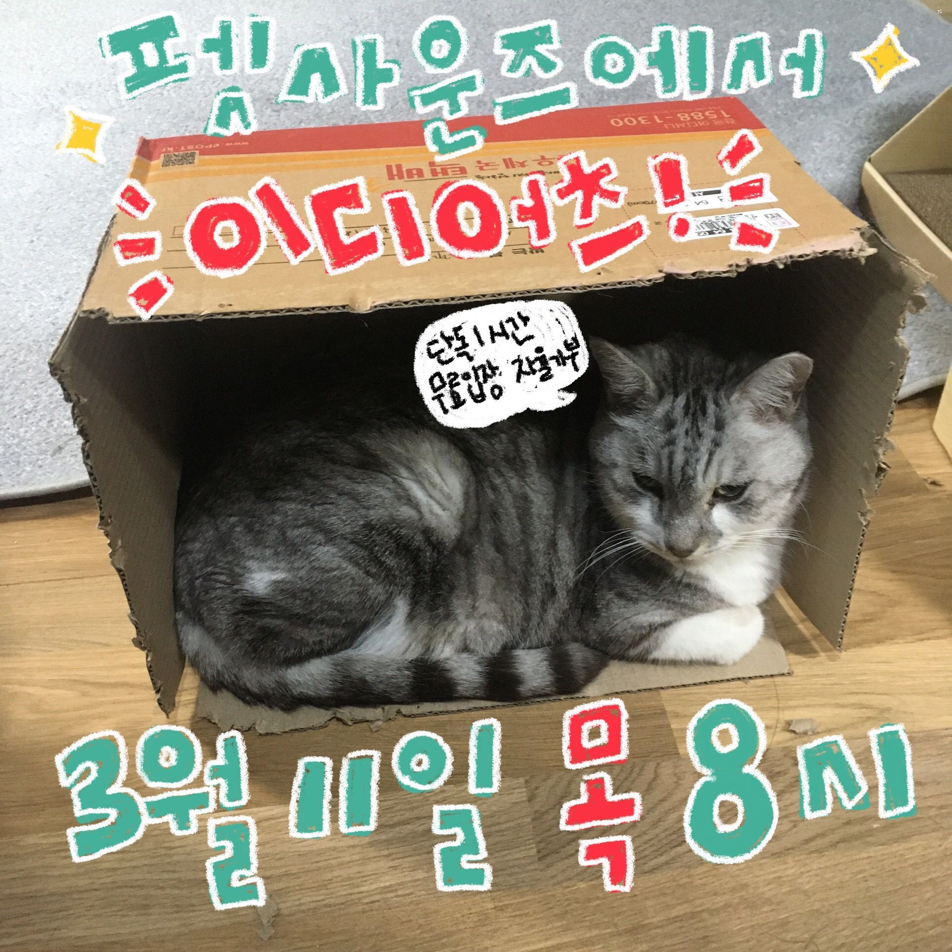 펫사운즈 인디라이브 - 이디어츠 poster 2