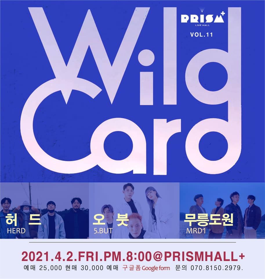 Wild Card vol.11