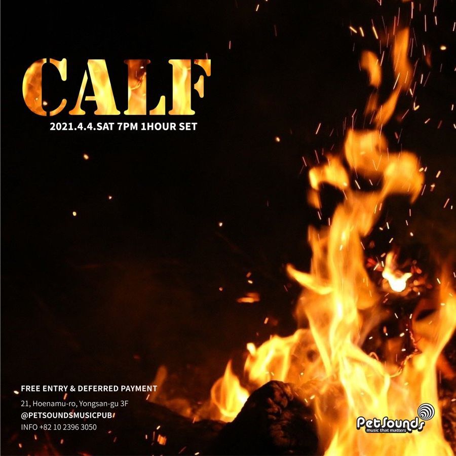 펫사운즈 인디라이브 - 카프