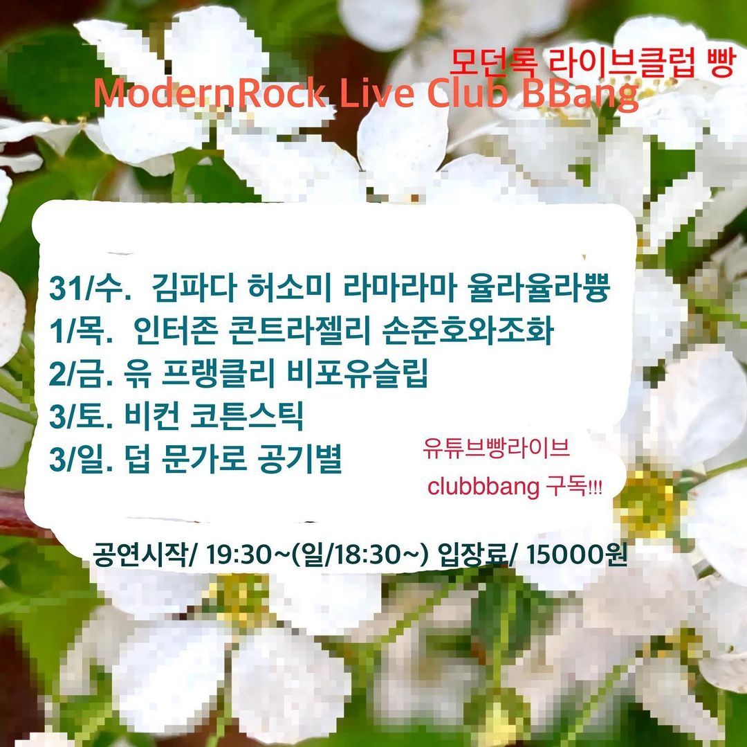 3월 클럽빵 공연