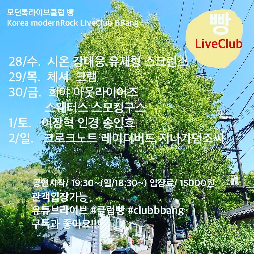 5월 클럽빵 공연