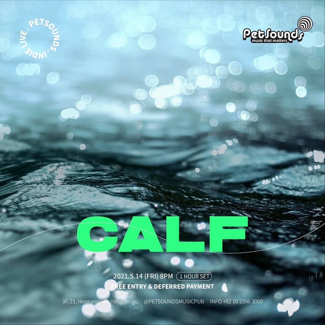 펫사운즈 인디라이브 - 카프