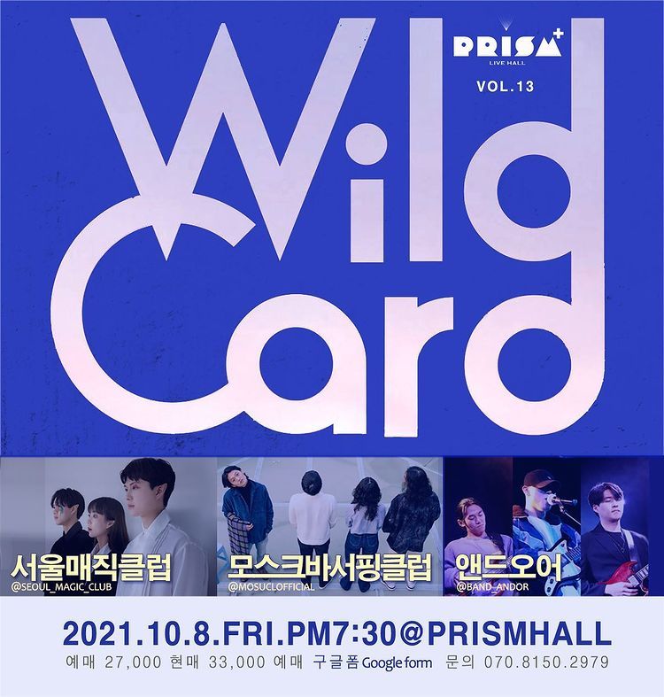 WILD CARD vol.13