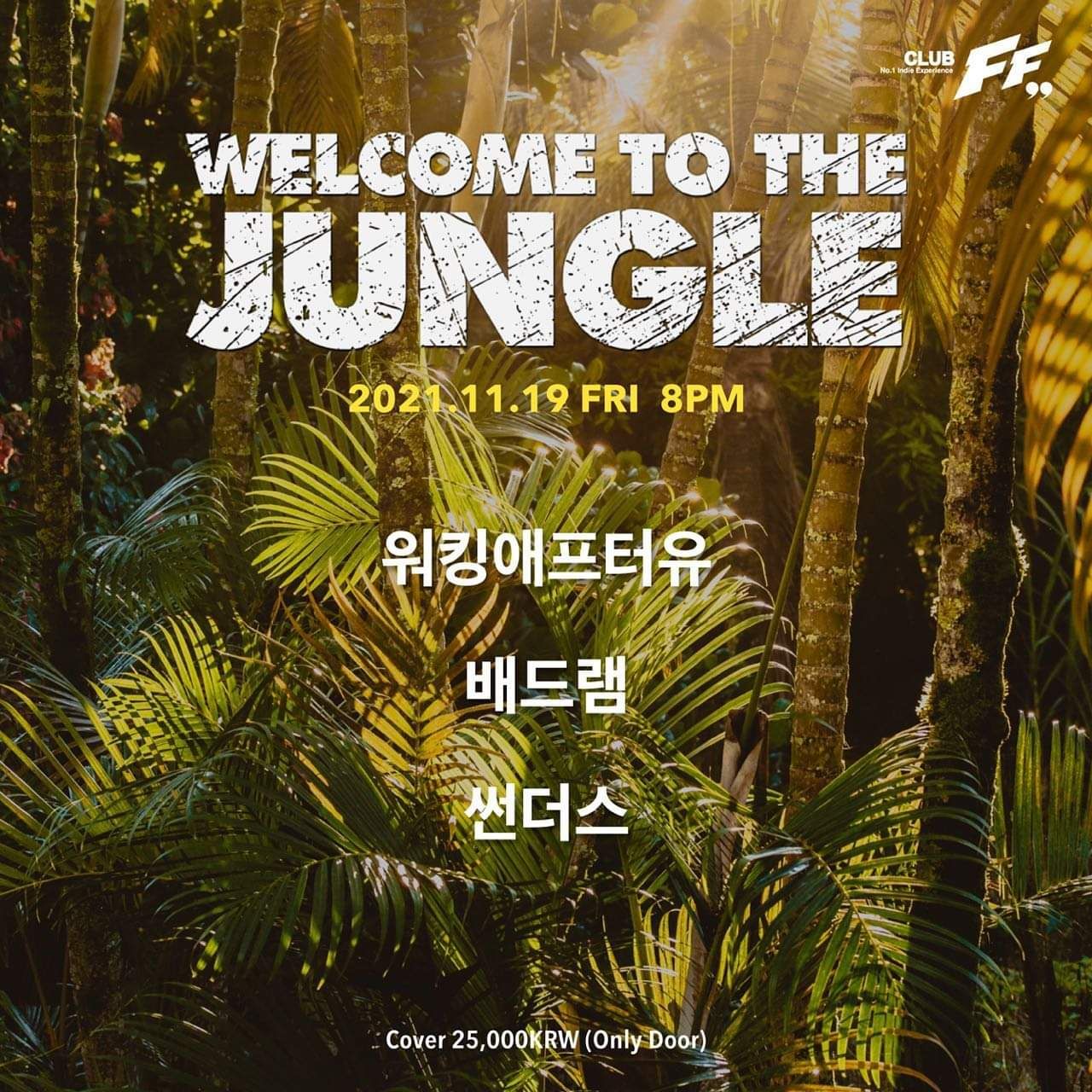 Welcome to the Jungle
