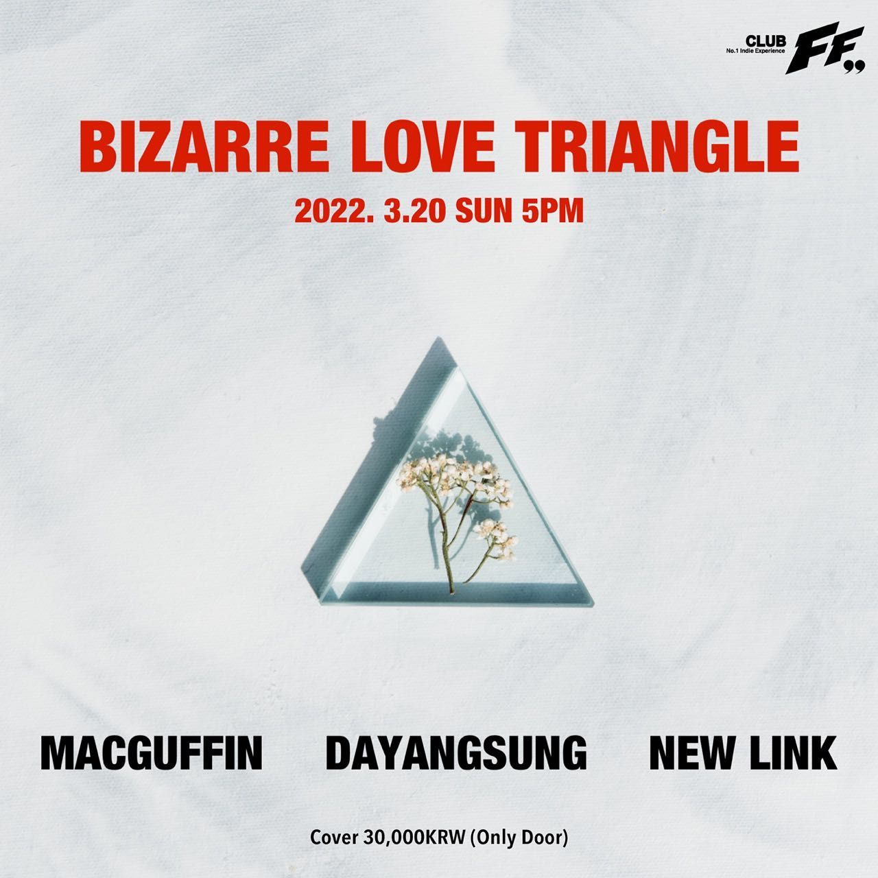 Bizzare Love Triangle  poster 2