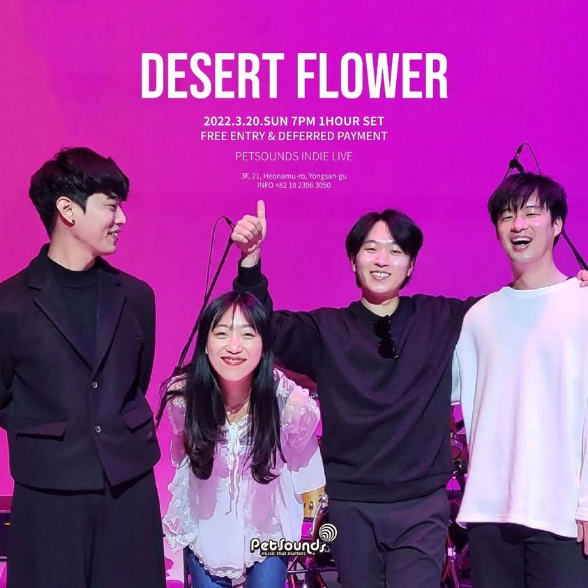 펫사운즈 인디라이브 - 사막꽃