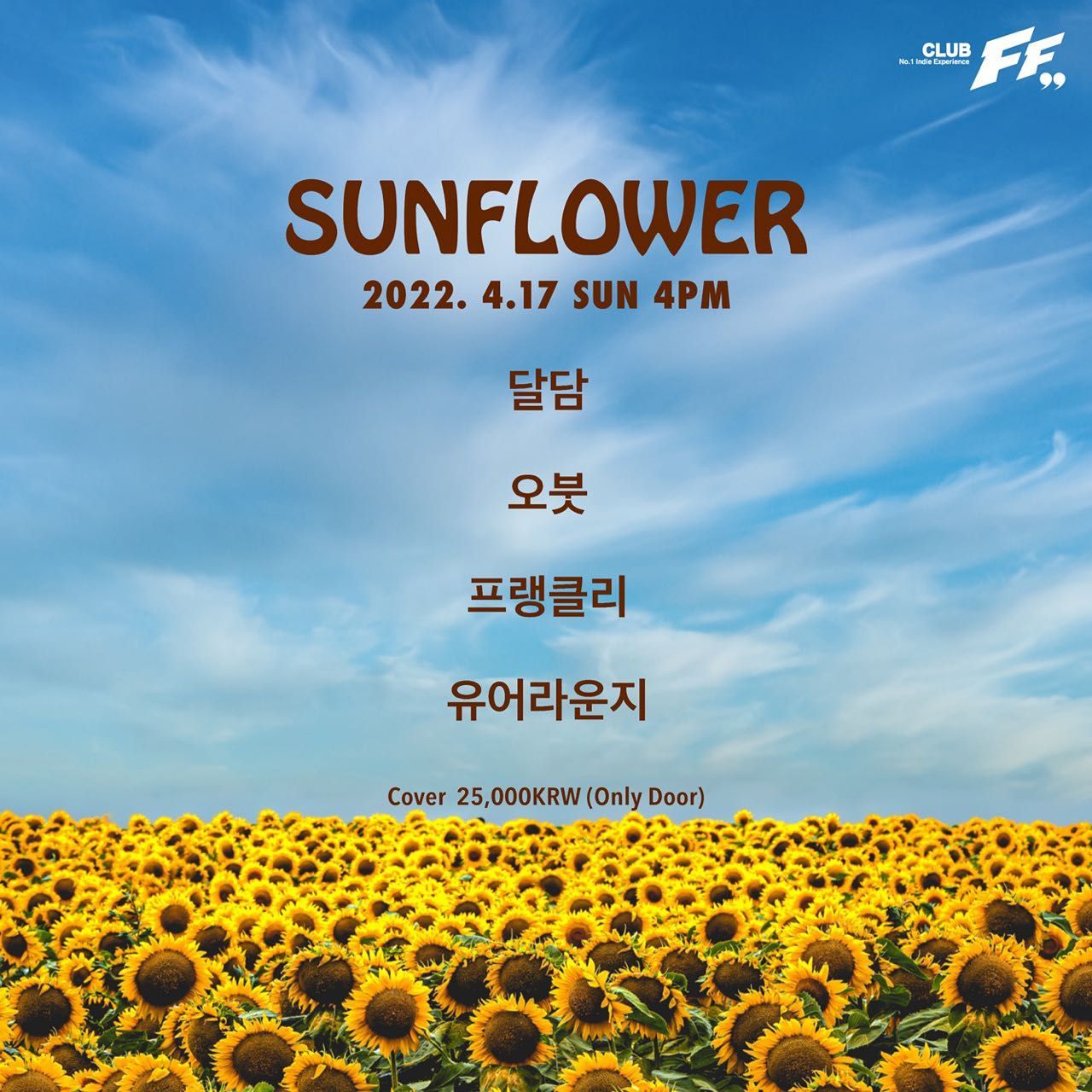 Sunflower