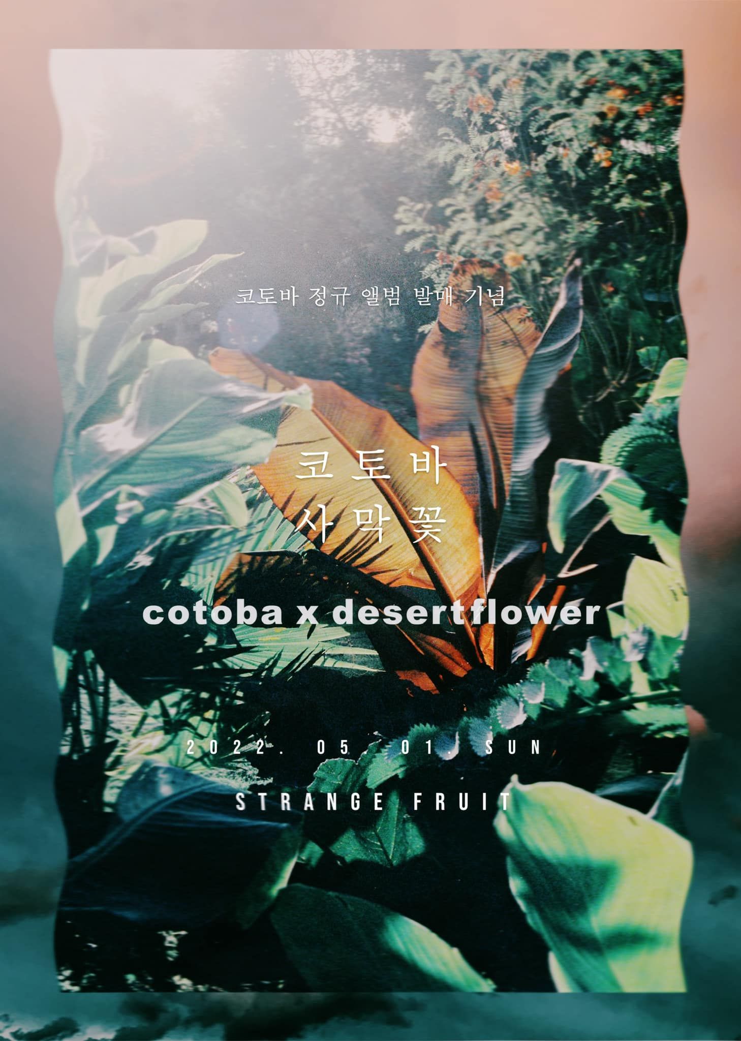 「 STRANGE LEAF&FLOWER AT STRANGE FRUIT 」