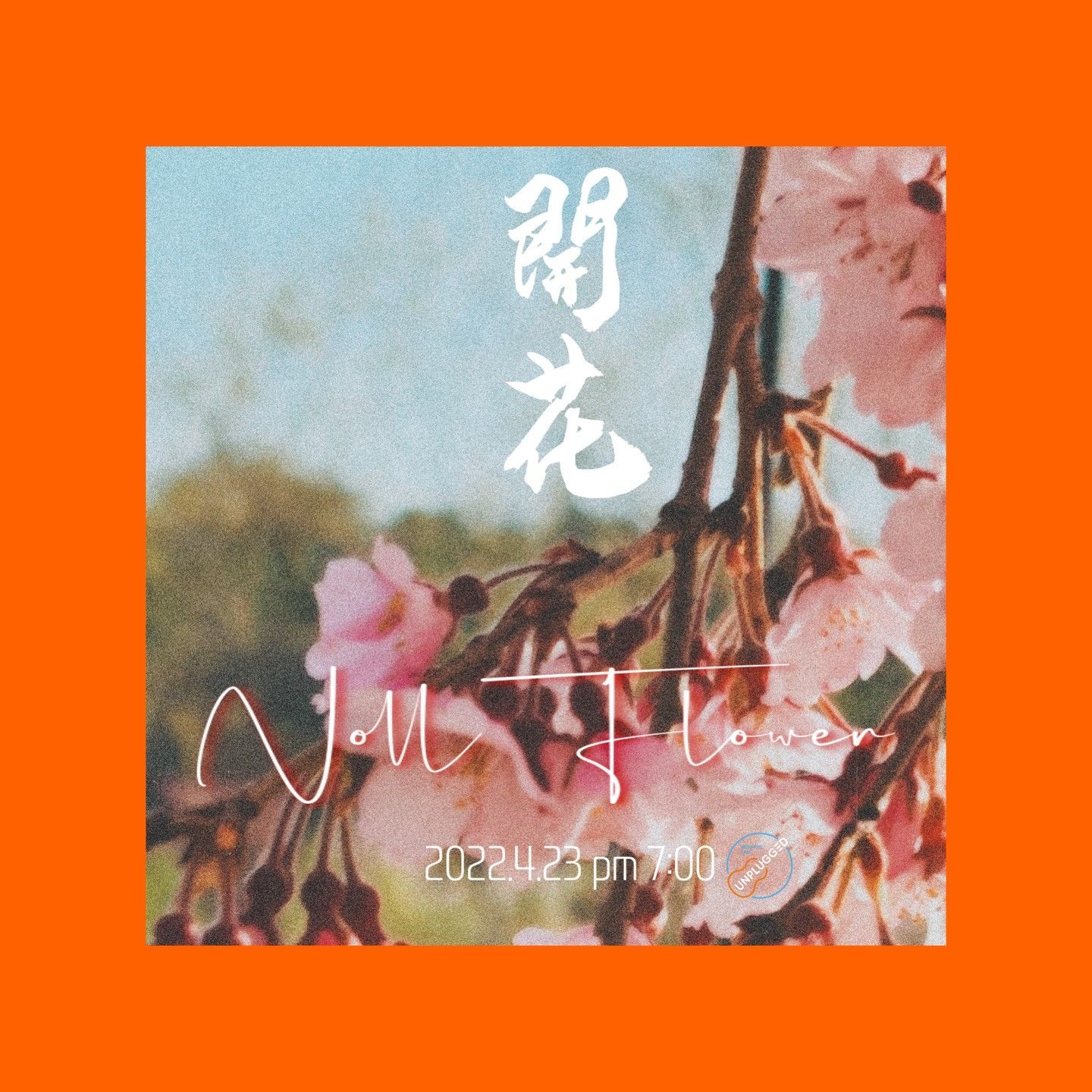 놀플라워 @band_nollflower 첫 단독공연 [개화] poster 3