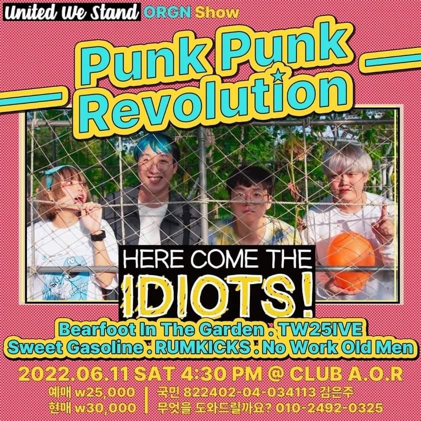 Punk Punk Revolution poster 5