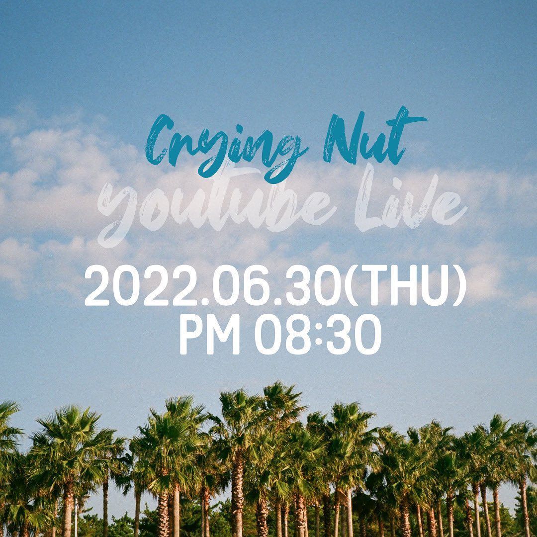 Crying Nut Youtube Live