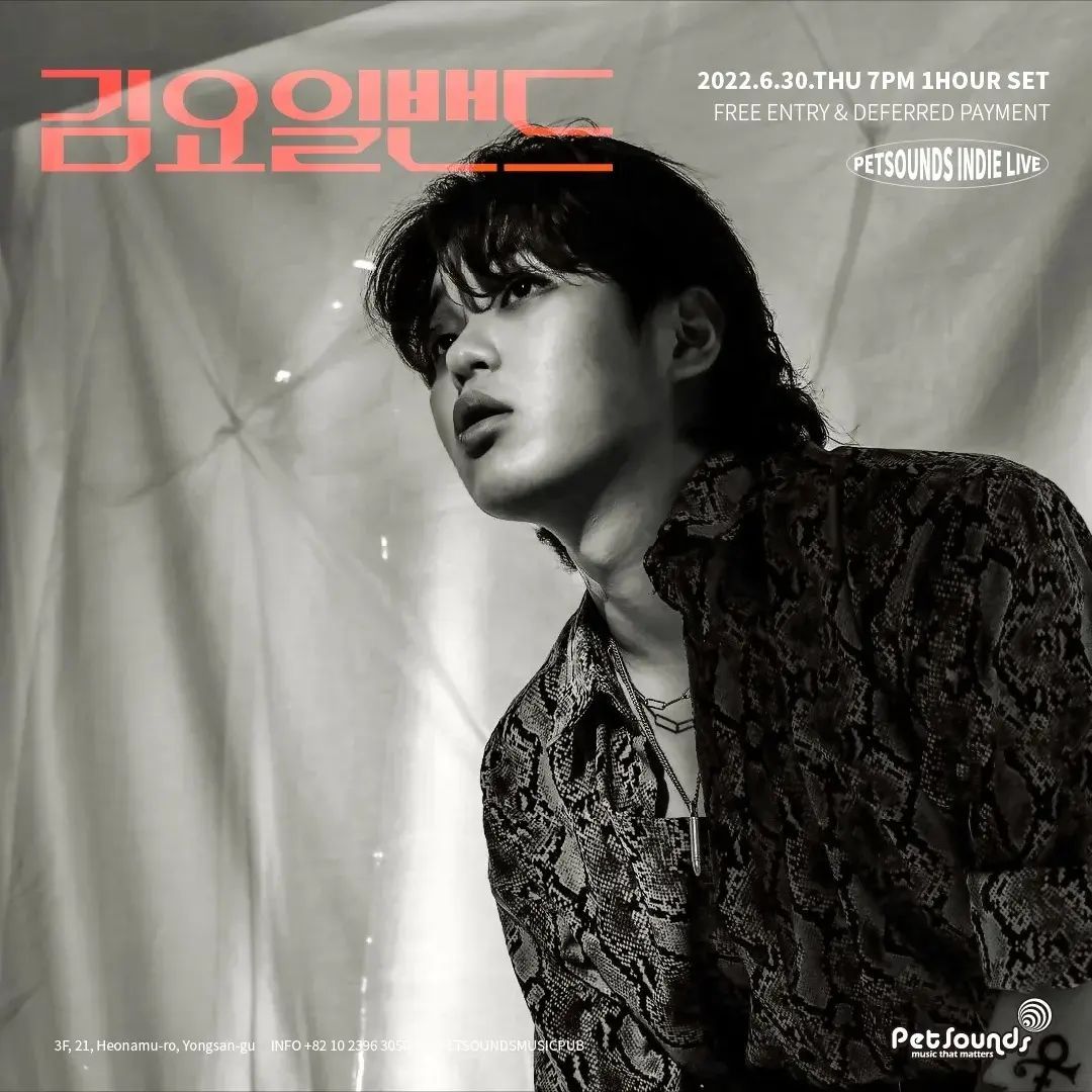 펫사운즈 인디라이브 - 김요일밴드