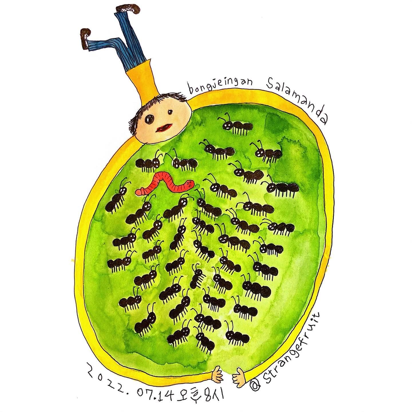 bongjeingan / salamanda