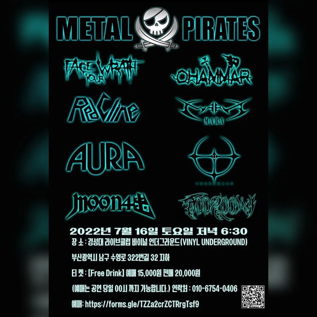METAL PIRATES